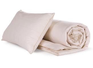 Linette Baby Equinox