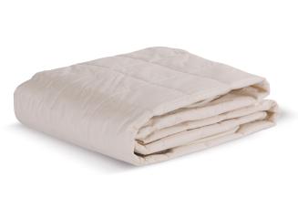 Linette Equinox Alez