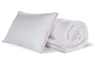 Linette Elegance